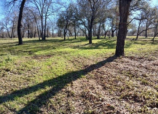 286  County Road 6876, Natalia, TX 78059 — photo 3