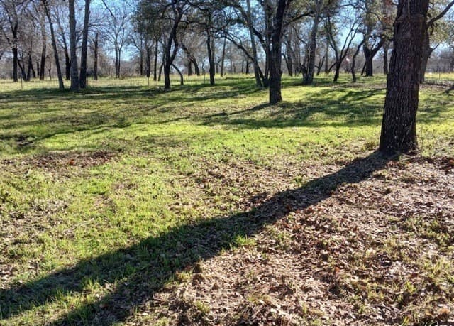 286  County Road 6876, Natalia, TX 78059 — photo 4