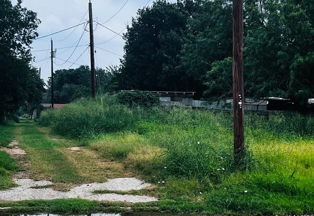 TBD S Walnut, Pearsall, TX 78061 — photo 10
