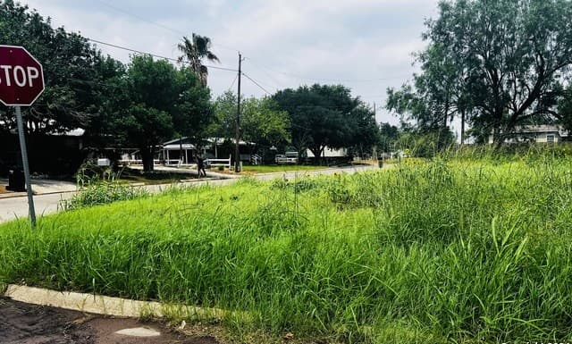 TBD S Walnut, Pearsall, TX 78061 — photo 4