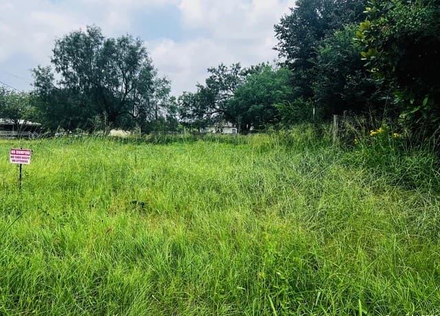 TBD S Walnut, Pearsall, TX 78061 — photo 5