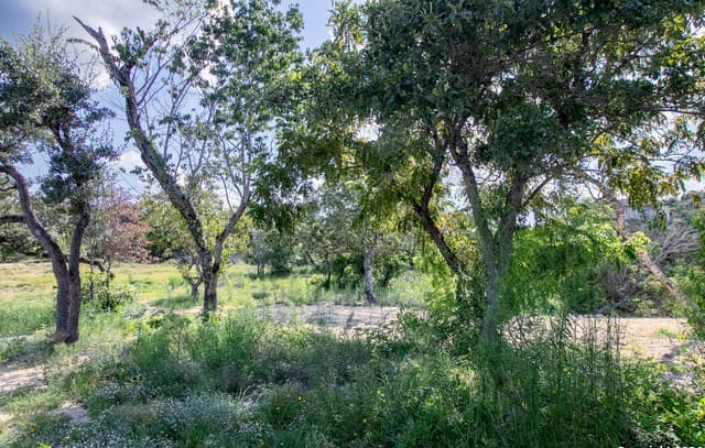 LOT 6  Messina Cyn, San Antonio, TX 78255 — photo 2