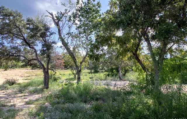 LOT 6  Messina Cyn, San Antonio, TX 78255 — photo 3