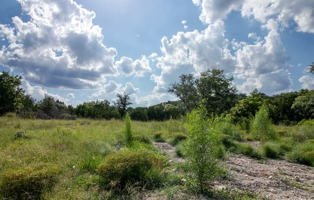 LOT 6  Messina Cyn, San Antonio, TX 78255 — photo 5