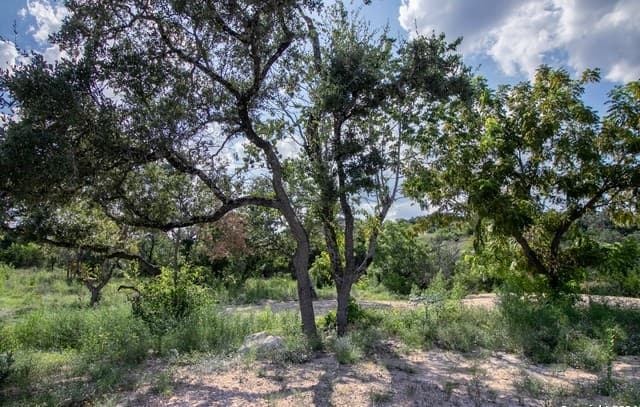 LOT 6  Messina Cyn, San Antonio, TX 78255 — photo 8