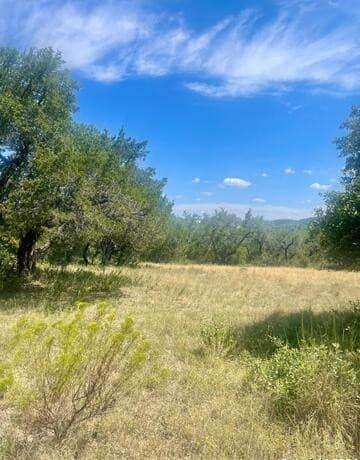 LOT 11  Pr 1713, Mico, TX 78056 — photo 4