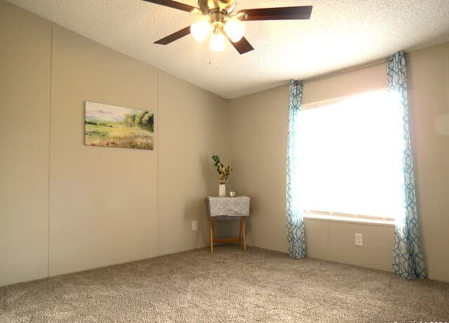 315  Loraine Dr, Devine, TX 78016 — photo 12