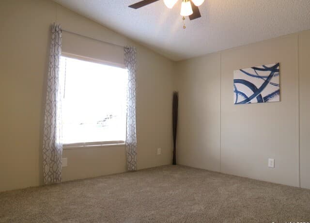 315  Loraine Dr, Devine, TX 78016 — photo 13