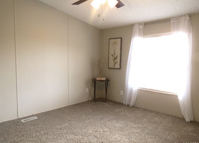 315  Loraine Dr, Devine, TX 78016 — photo 14