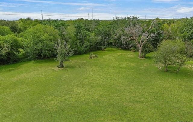 2218  Terrell AVE, Jourdanton, TX 78026 — photo 2