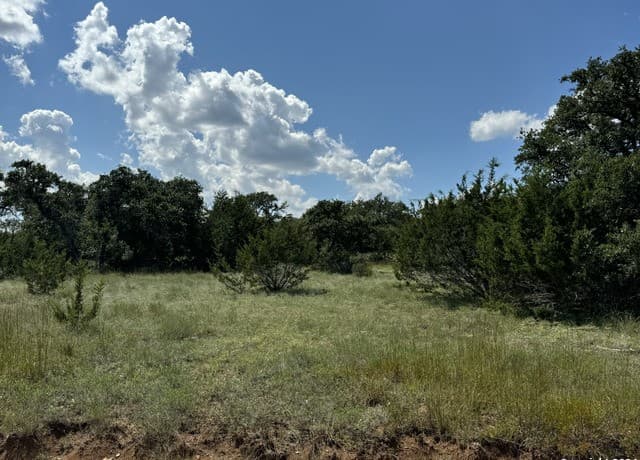 114  Peter Kleid Loop, Blanco, TX 78606 — photo 10