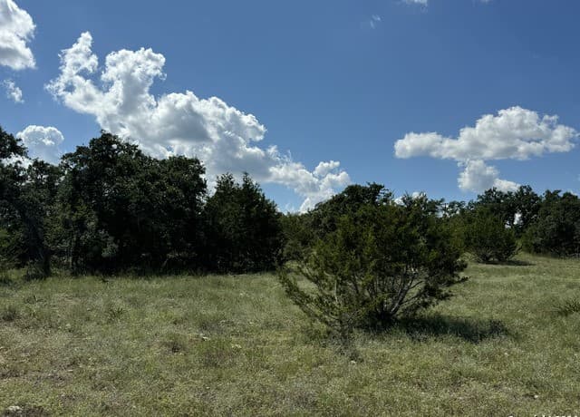 114  Peter Kleid Loop, Blanco, TX 78606 — photo 11