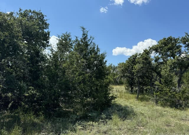 114  Peter Kleid Loop, Blanco, TX 78606 — photo 12