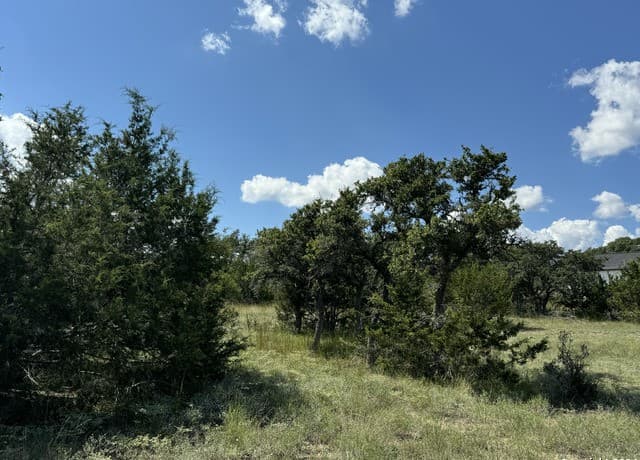 114  Peter Kleid Loop, Blanco, TX 78606 — photo 13