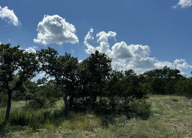 114  Peter Kleid Loop, Blanco, TX 78606 — photo 14