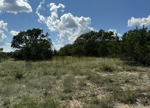 114  Peter Kleid Loop, Blanco, TX 78606 — photo 15