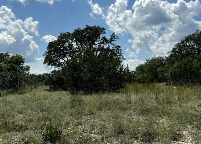 114  Peter Kleid Loop, Blanco, TX 78606 — photo 16