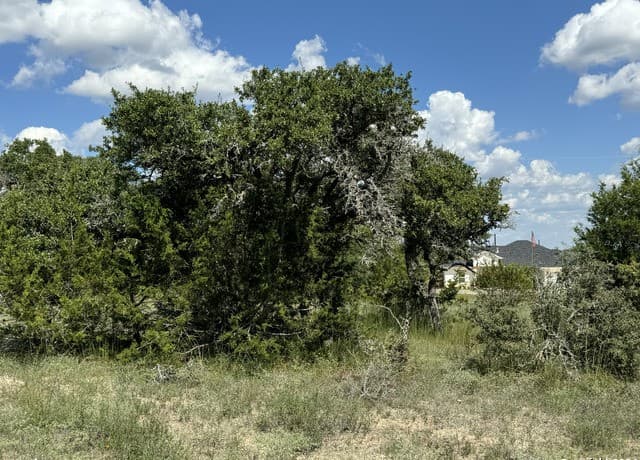 114  Peter Kleid Loop, Blanco, TX 78606 — photo 17