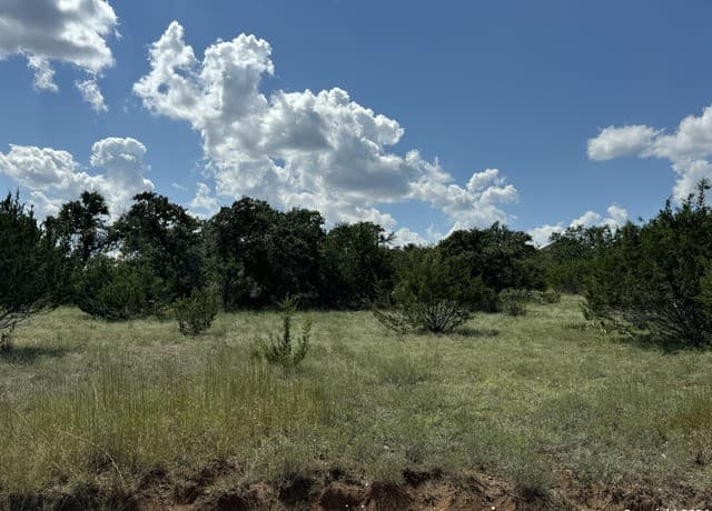 114  Peter Kleid Loop, Blanco, TX 78606 — photo 2