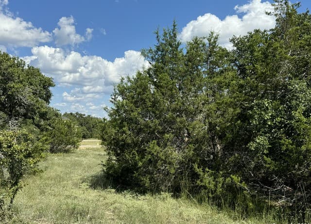 114  Peter Kleid Loop, Blanco, TX 78606 — photo 3