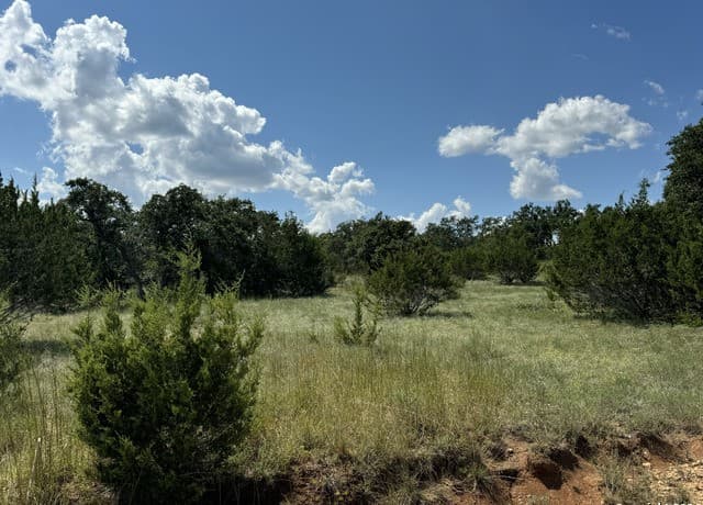 114  Peter Kleid Loop, Blanco, TX 78606 — photo 9
