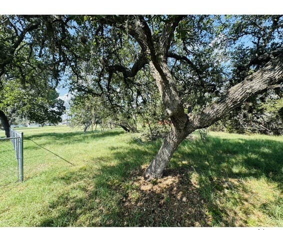 0  Pr 1518, Bandera, TX 78003 — photo 8