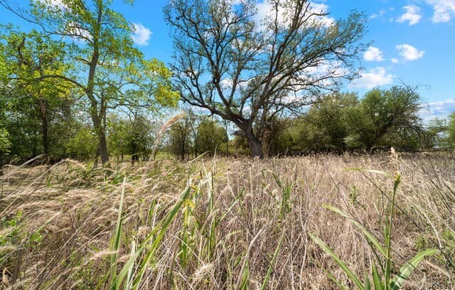 TBD  Highway 90, Castroville, TX 78009 — photo 10