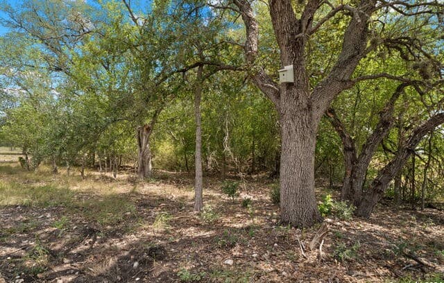 TBD  Highway 90, Castroville, TX 78009 — photo 5