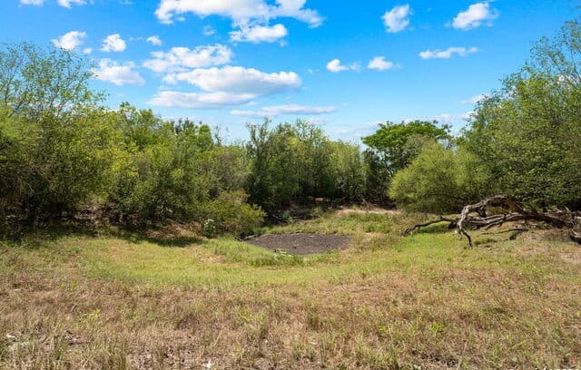 TBD  Highway 90, Castroville, TX 78009 — photo 6