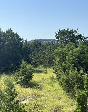 932  High Country Rd, Blanco, TX 78606 — photo 17