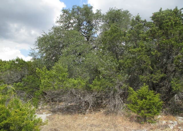 LOT 18  Ledgestone Pl, Boerne, TX 78006 — photo 6