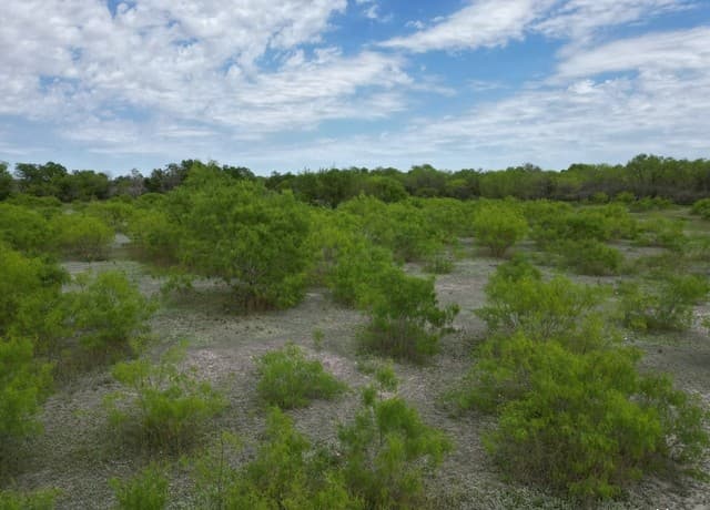 2020  Goeth Rd, San Antonio, TX 78221 — photo 10