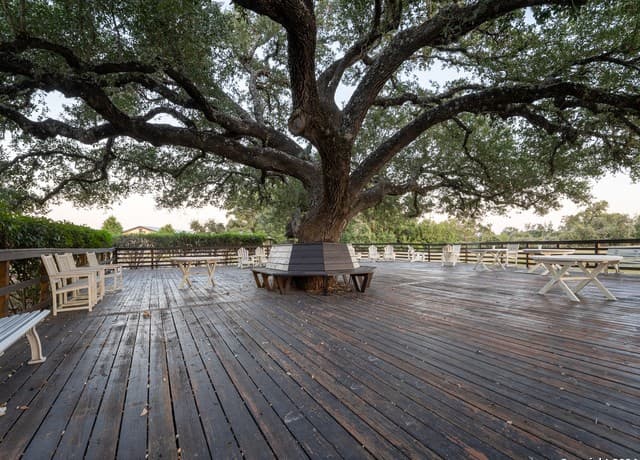 113 S John Bird, Blanco, TX 78606 — photo 14