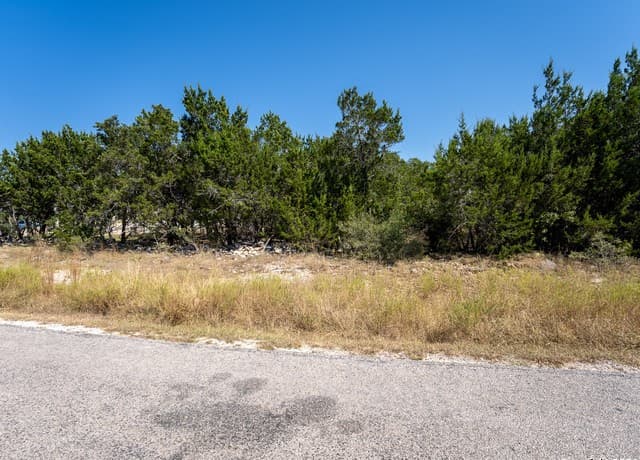 113 S John Bird, Blanco, TX 78606 — photo 5