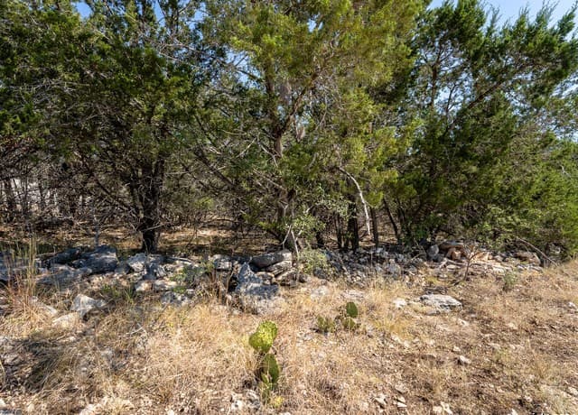 113 S John Bird, Blanco, TX 78606 — photo 7
