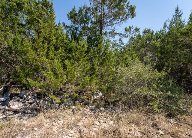 113 S John Bird, Blanco, TX 78606 — photo 8