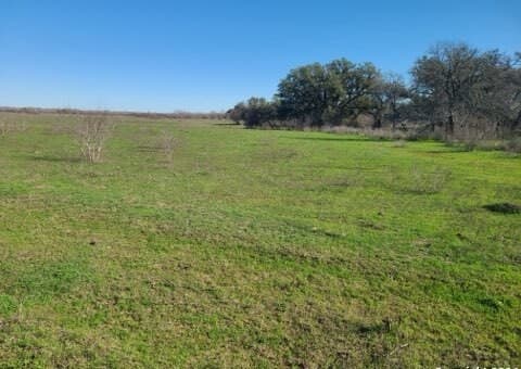 TBD TRACT 1  St Hwy 119, Stockdale, TX 78160 — photo 3