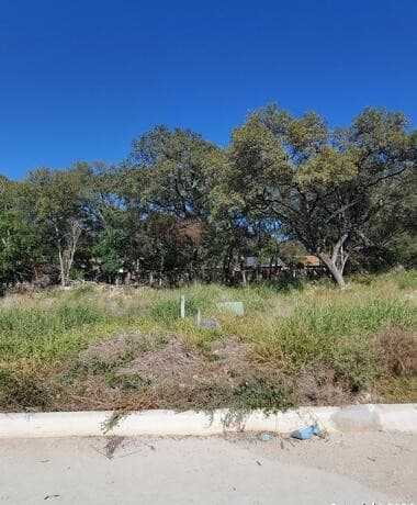 LOT 16  Swans Landing, San Antonio, TX 78217 — photo 8