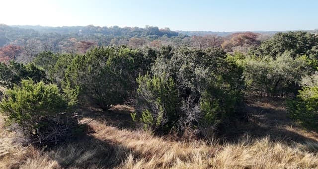 LOT 8  Panther Bnd, Boerne, TX 78006 — photo 11