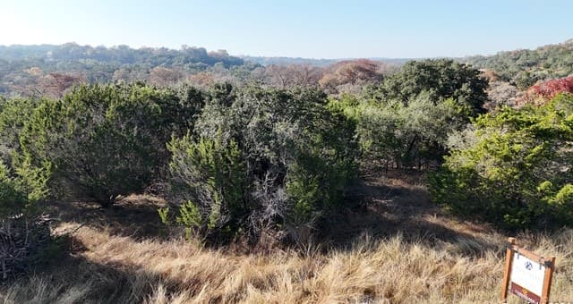 LOT 8  Panther Bnd, Boerne, TX 78006 — photo 12
