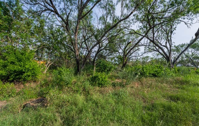 TBD W Jett Rd, San Antonio, TX 78264 — photo 3