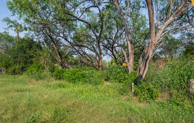 TBD W Jett Rd, San Antonio, TX 78264 — photo 4