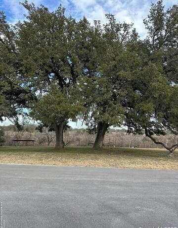 4300  State Highway 16 #29