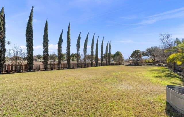 1659  Hanz Dr, New Braunfels, TX 78130 — photo 16