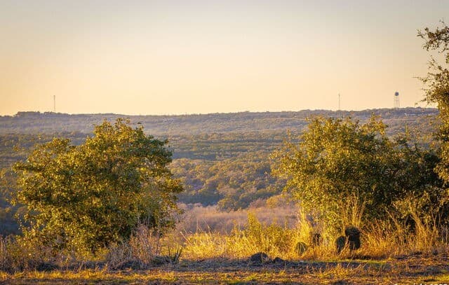 1845  Paradise Parkway, Canyon Lake, TX 78133 — photo 9