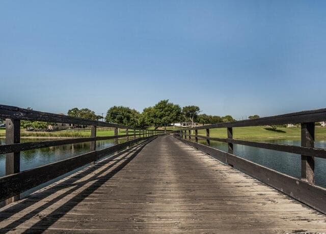 224  Hiram Cook, Blanco, TX 78606 — photo 19