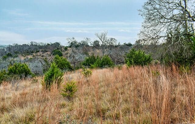 345 N Echo Falls, Comfort, TX 78013 — photo 2