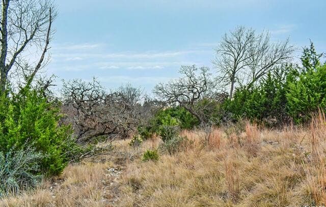 345 N Echo Falls, Comfort, TX 78013 — photo 4