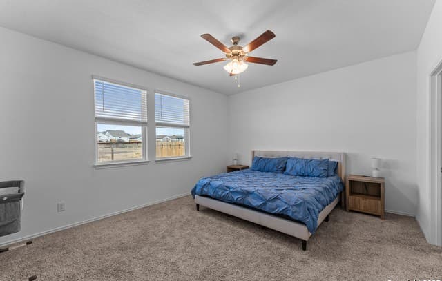 13229  Hagerd Loop, St Hedwig, TX 78152 — photo 18