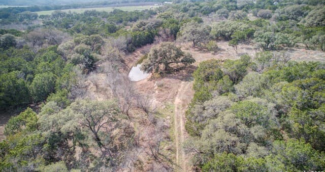 1463  Whispering Woods Trail